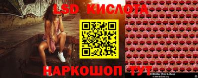 соль ск Будённовск