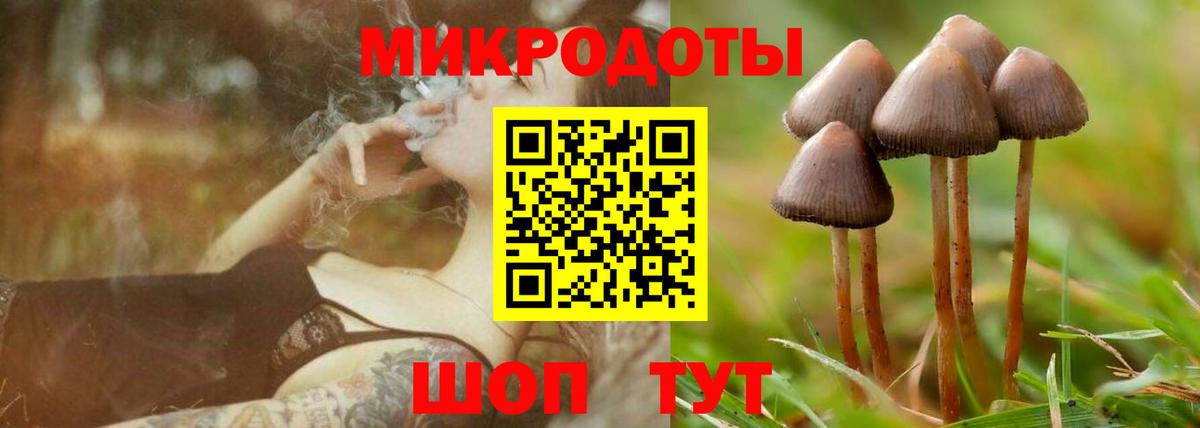 Псилоцибиновые грибы Psilocybe  Вход с VPN  Нягань  Галлюциногенные грибы Cubensis 